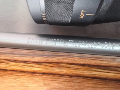 9379Savage Model 12, 22-250,laminated stock, steel barrel, ebony forend cap, 24: barrel, Whitetail 6.5x20x50 scope,More pictures at DawsonsDoubles - Image 10 of 25