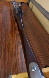 Springfield - 10 of 10