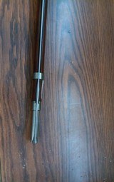 Springfield - 5 of 10