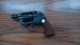Colt - 1 of 5