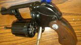 Colt - 5 of 5