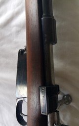 Mouser Argentine 1891 Rifle/w Bayonet - 1 of 15