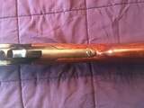 Winchester Model 71 348 cal. - 14 of 14