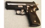 Sig Sauer P229 Equinox ~ .40 S&W - 2 of 2