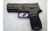 Sig Sauer P250 ~ 9mm - 2 of 2