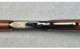 Winchester ~ Model 9422 ~ .22 Caliber - 5 of 9