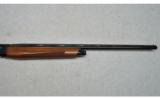 Armsan ~ Pointer ~ 28 Gauge - 4 of 9