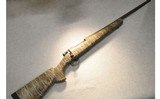 Howa ~ M1500 ~ .30-06 - 1 of 10