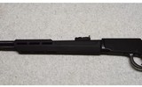 Rossi ~ Rio Bravo ~ .22 Long Rifle - 8 of 10