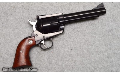 Ruger ~ New Model Blackhawk ~ .45CAL