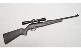 Remington ~ 597 ~ .22LR