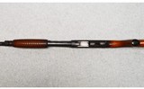 Ithaca ~ 37 ~ 20GAUGE - 7 of 10