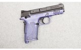 Smith & Wesson ~ M&P 380 Sheild EZ M2.0 ~ .380AUTO - 1 of 4
