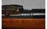 TERNI ~ M-91 CARCANO SPORTER ~ 6.5 X 52MM - 8 of 10 TERNI ~ M-91 CARCANO SPORTER ~ 6.5 X 52MM - 8 of 10