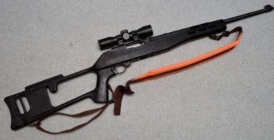 Ruger ~ 10/22 ~ .22 Long rifle
