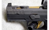 Sig Sauer ~ P320 - 7 of 8