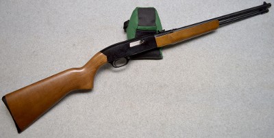 Winchester ~ Model 190 ~ .22 Long/Long rifle