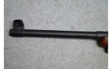 Iver Johnson ~ M1 Carbine ~ .22LR - 10 of 14