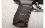 Sig Sauer ~ P250 ~ 9mm Luger - 3 of 7