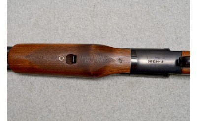 Stoeger ~ Coach Gun ~ 12 Gauge 2¾"-3" - Image 10 of 13