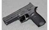 Sig Sauer ~ P250 (Full size and compact frames) ~ .40 S&W, 9mm Luger - Image 2 of 3