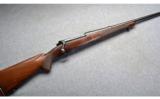 Winchester Model 70 Pre-1964 - 1 of 9