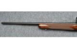 Browning BAR MkII Safari ~ 25-06 - 6 of 9
