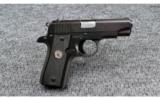 Colt ~ Government 380 ~ .380 ACP - 3 of 6