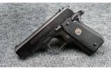 Colt ~ Government 380 ~ .380 ACP - 1 of 6