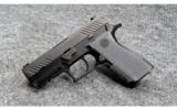 Sig Sauer ~ P320 Carry ~ 9mm Luger - 1 of 7