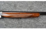 Mavi ~ Companion ~ 12 Gauge - 6 of 13