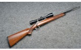 Ruger ~ M77 ~ .243 Winchester - 1 of 16