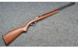 Marlin ~ 60 ~ .22 LR - 1 of 16