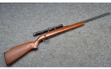 Remington ~ 580 ~ .22 S, L, LR. - 1 of 16