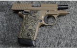 SIG Sauer ~ P238 ~ .380 ACP - 3 of 3