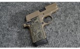 SIG Sauer ~ P238 ~ .380 ACP - 1 of 3