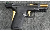 Smith & Wesson ~ M&P .380 Shield EZ Performance Center ~ .380 ACP - 3 of 3