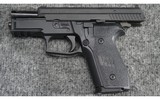 SIG Sauer ~ P229 ~ .40 Smith & Wesson - 3 of 3