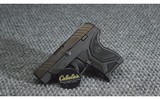 Ruger ~ LCP II ~ .380 ACP - 1 of 3