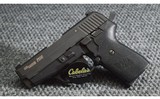 Sig Sauer ~ P239 ~ .40 S&W - 1 of 3