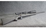 Remington ~ 700 ~ .25-06 Remington - 1 of 10