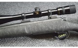 Remington ~ 700 ~ .25-06 Remington - 7 of 10