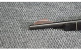 Remington ~ Nylon 66 Black Diamond ~ .22 Long Rifle - 8 of 10
