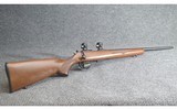 CZ ~ 455 ~ .22 Long Rifle - 1 of 10