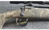 Savage ~ Axis ~ .243 Winchester - 3 of 10