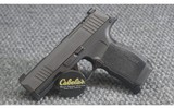 Sig Sauer ~ P365X ~ 9mm Luger