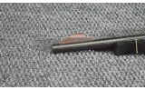 Remington ~ Nylon 66 Black Diamond ~ .22 Long Rifle - 8 of 10