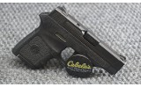 Smith & Wesson ~ Bodyguard 380 ~ .380 ACP - 2 of 3