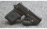 Smith & Wesson ~ Bodyguard 380 ~ .380 ACP - 2 of 3