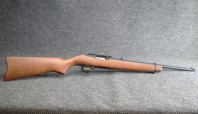 Ruger ~ 10/22 ~ .22 Long Rifle
